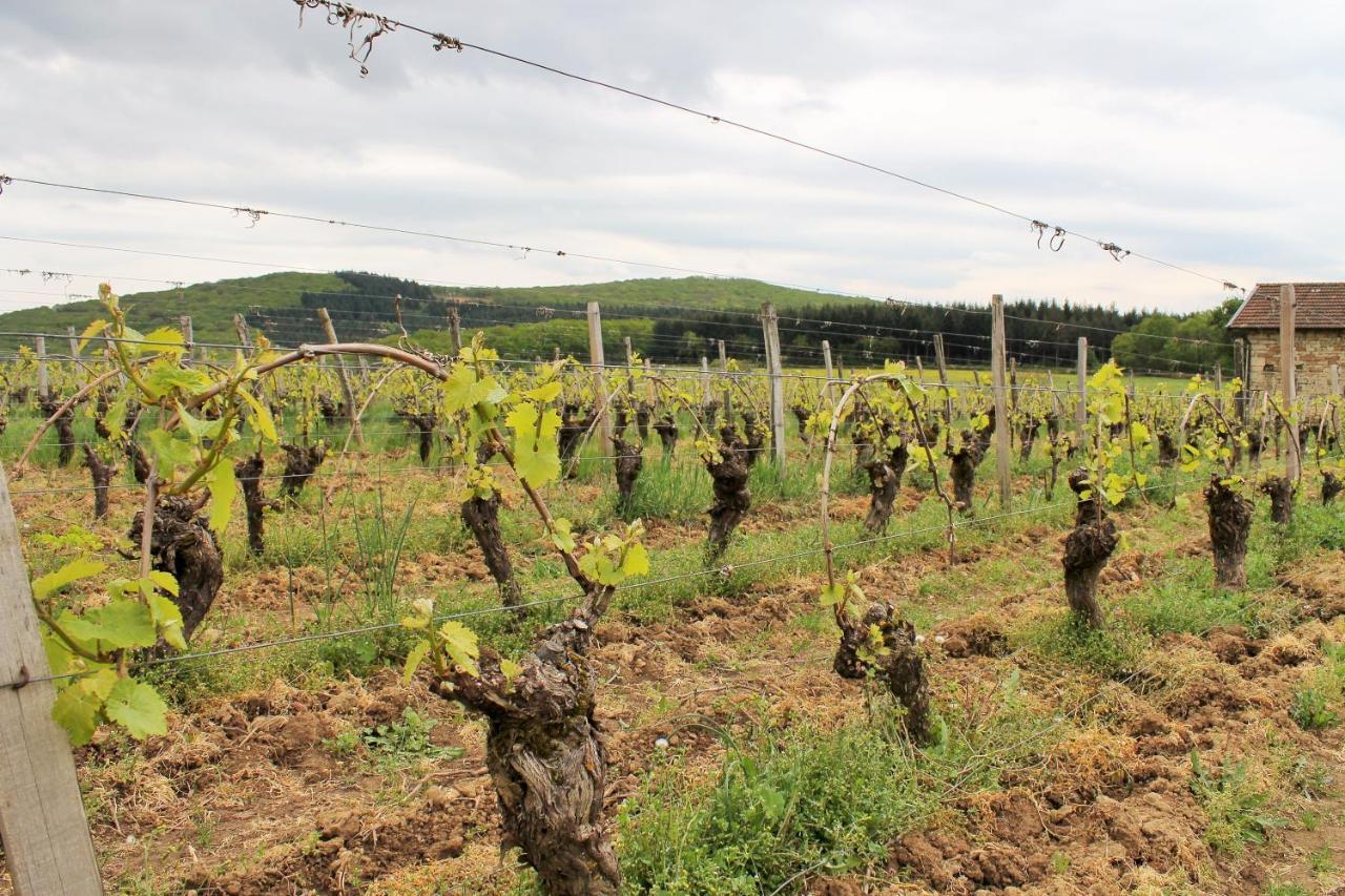 Domaine Joseph Lafarge Wine Resort Winemaker House La Maison Du Negociant Lugny Exteriör bild
