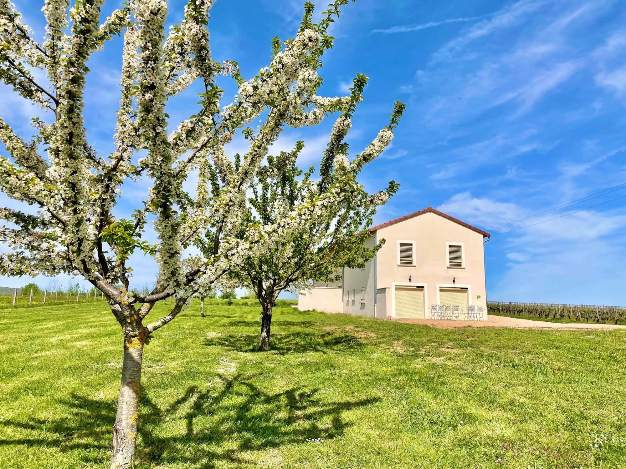 Domaine Joseph Lafarge Wine Resort Winemaker House La Maison Du Negociant Lugny Exteriör bild
